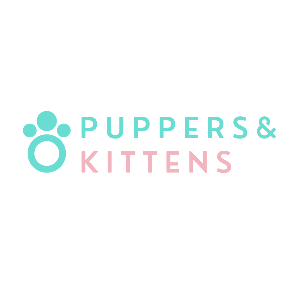Puppers and Kittens